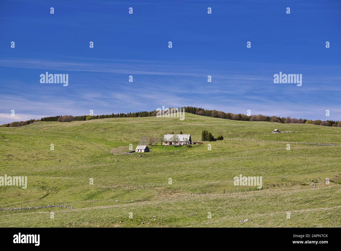 Un casale solitario nei Monts d'Aubrac, nei pressi di St Urcize, Auvergne, Francia Foto Stock