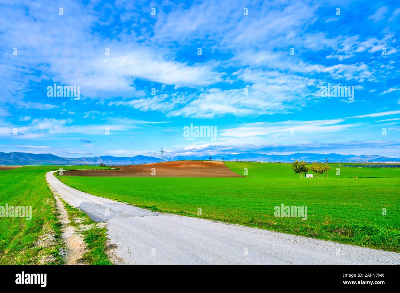 Ampia valle rurale pianeggiante con campi agricoli e verde lussureggiante in pianura thessalian. Foto Stock