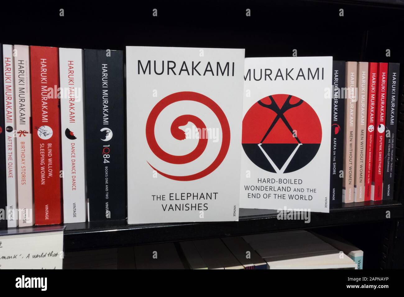 Closeup di libri Haruki Murakami e spine libro Foto Stock