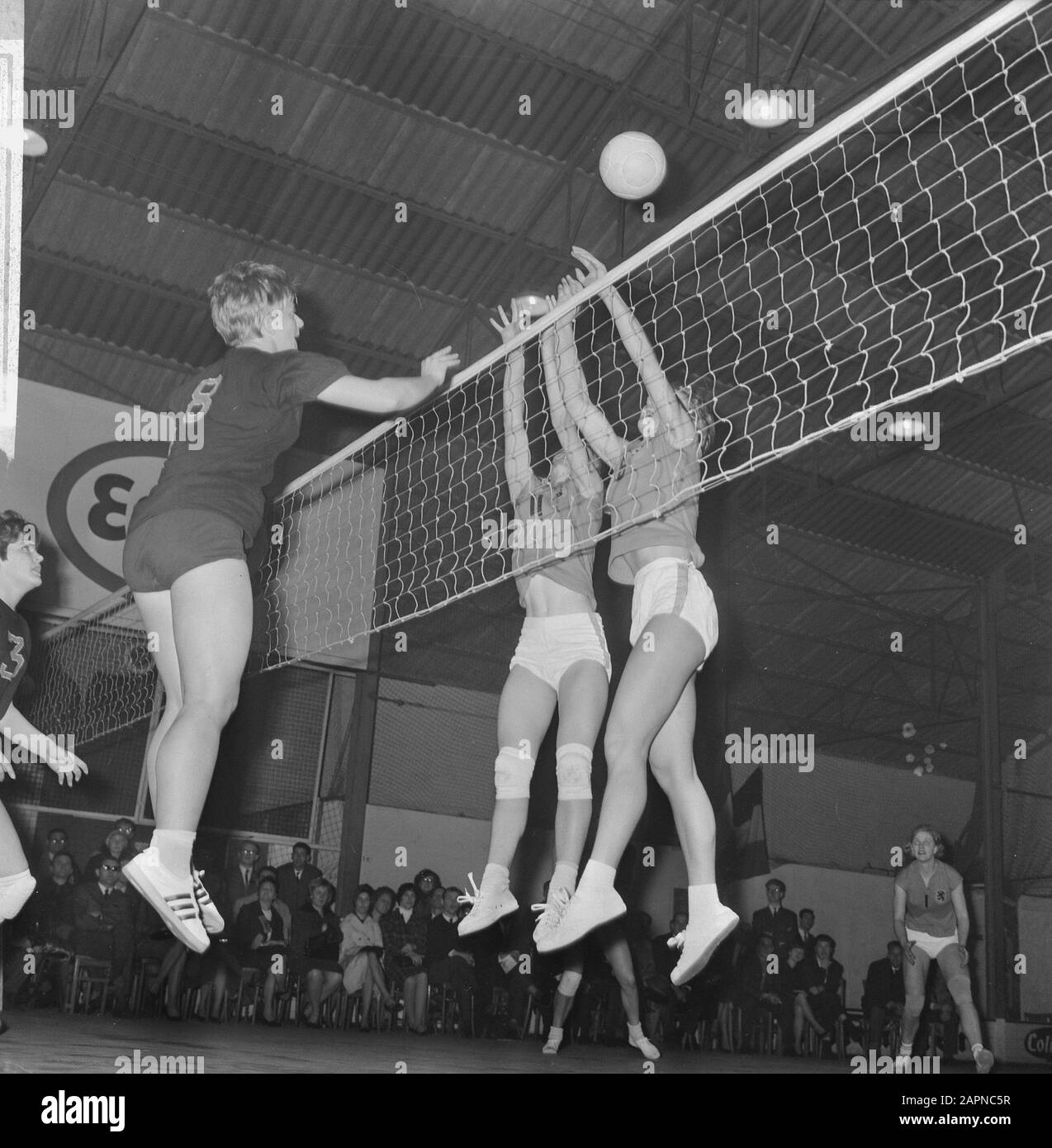 Volleyball Ladies Belgium Against Netherlands 1-3, Attack Belgis Ladies Date: 19 December 1965 Location: Belgium, Netherlands Keywords: VOLLEBAL Foto Stock