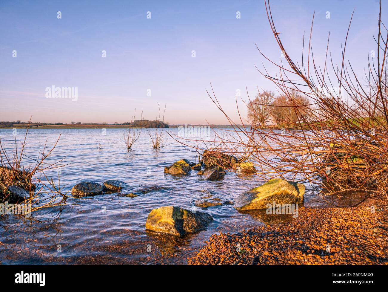 Rutland Water è una casa per diversi tipi di fauna selvatica, oltre ad essere utilizzato per numerose attività ricreative. Foto Stock
