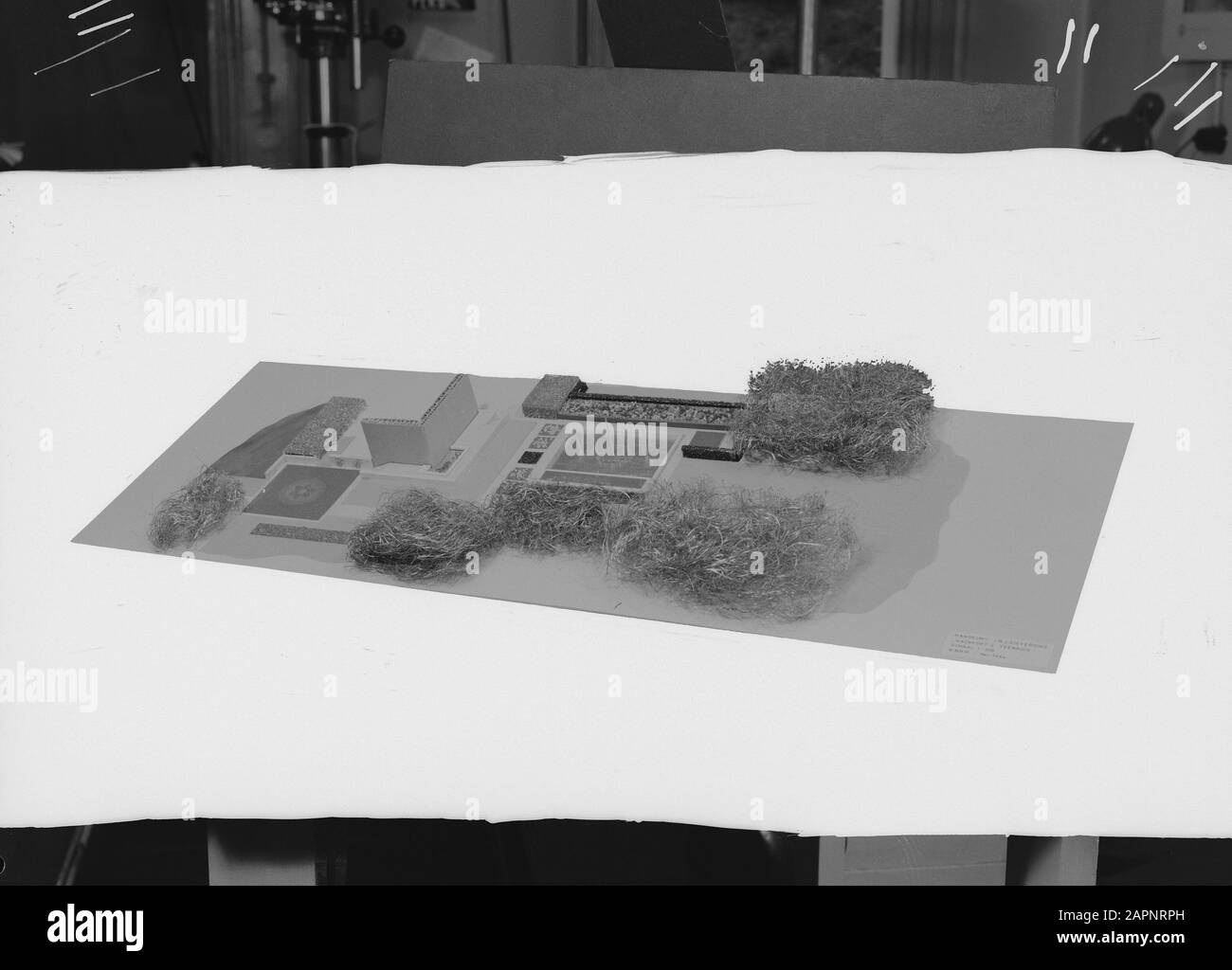 Modelli Data: Novembre 1964 Parole Chiave: Modelli Foto Stock