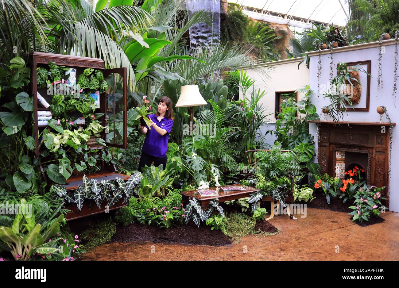 L'orticolturista Narisa Kempster ha ritratto alla mostra Giant Houseplant Takeover nel Glasshouse al RHS Garden Wisley che ha aperto questa mattina, correndo fino al 1st marzo. Una casa vittoriana persa e abbandonata è stata invasa dai suoi abitanti - le case. Ogni camera è piena di piante che conosciamo, cresciute selvaggiamente fuori controllo. Da un salotto di palma lounging in una poltrona ad un feln gigante che prende un bagno, questo è un mondo in cui le piante hanno stabilito le regole. Foto Stock