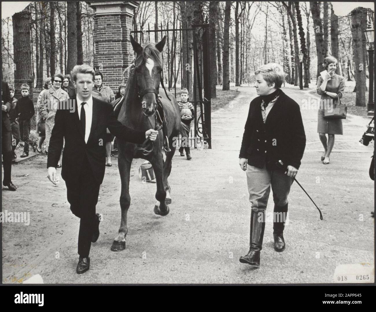 Casa reale, cavalli, cavalieri, Gorel A., Meewis Sig.ra D. Data: 18 aprile 1967 Parole Chiave: Casa reale, cavalli, cavalieri Nome personale: Gorel A., Meewis Sig.ra D. Nome istituzione: Lage Vuursche Foto Stock Casa reale, cavalli, cavalieri, Gorel A., Meewis Sig.ra D. Data: 18 aprile 1967 Parole Chiave: Casa reale, cavalli, cavalieri Nome personale: Gorel A., Meewis Sig.ra D. Nome istituzione: Lage Vuursche Foto Stock