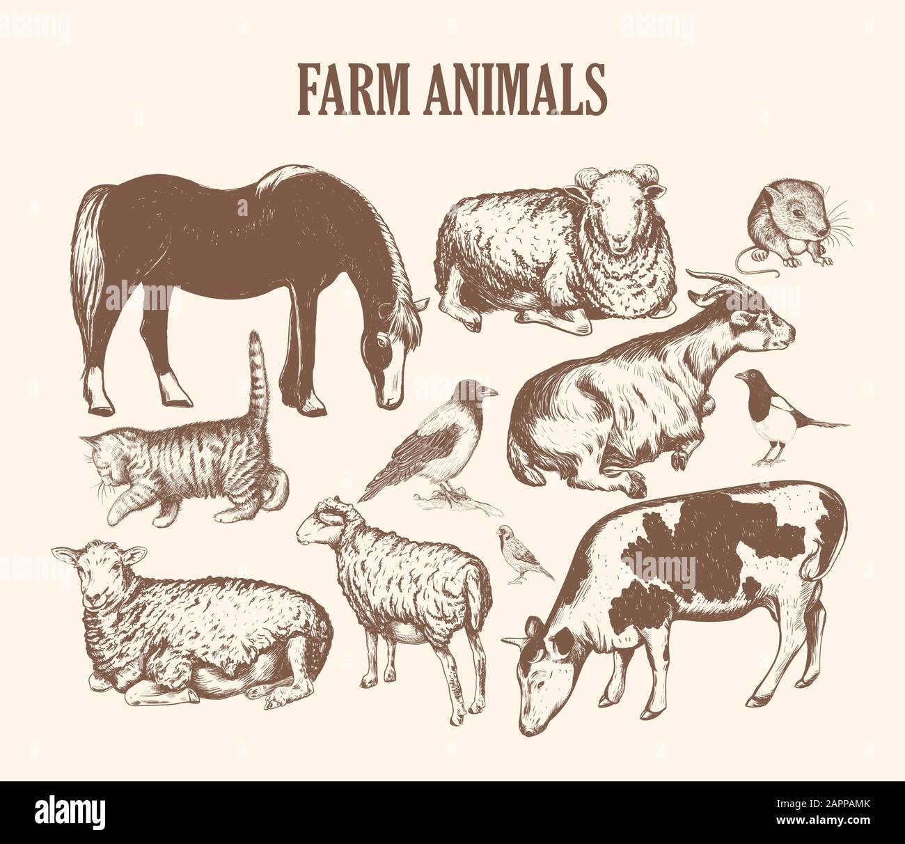 animali da allevamento disegno a mano di schizzo Immagine e