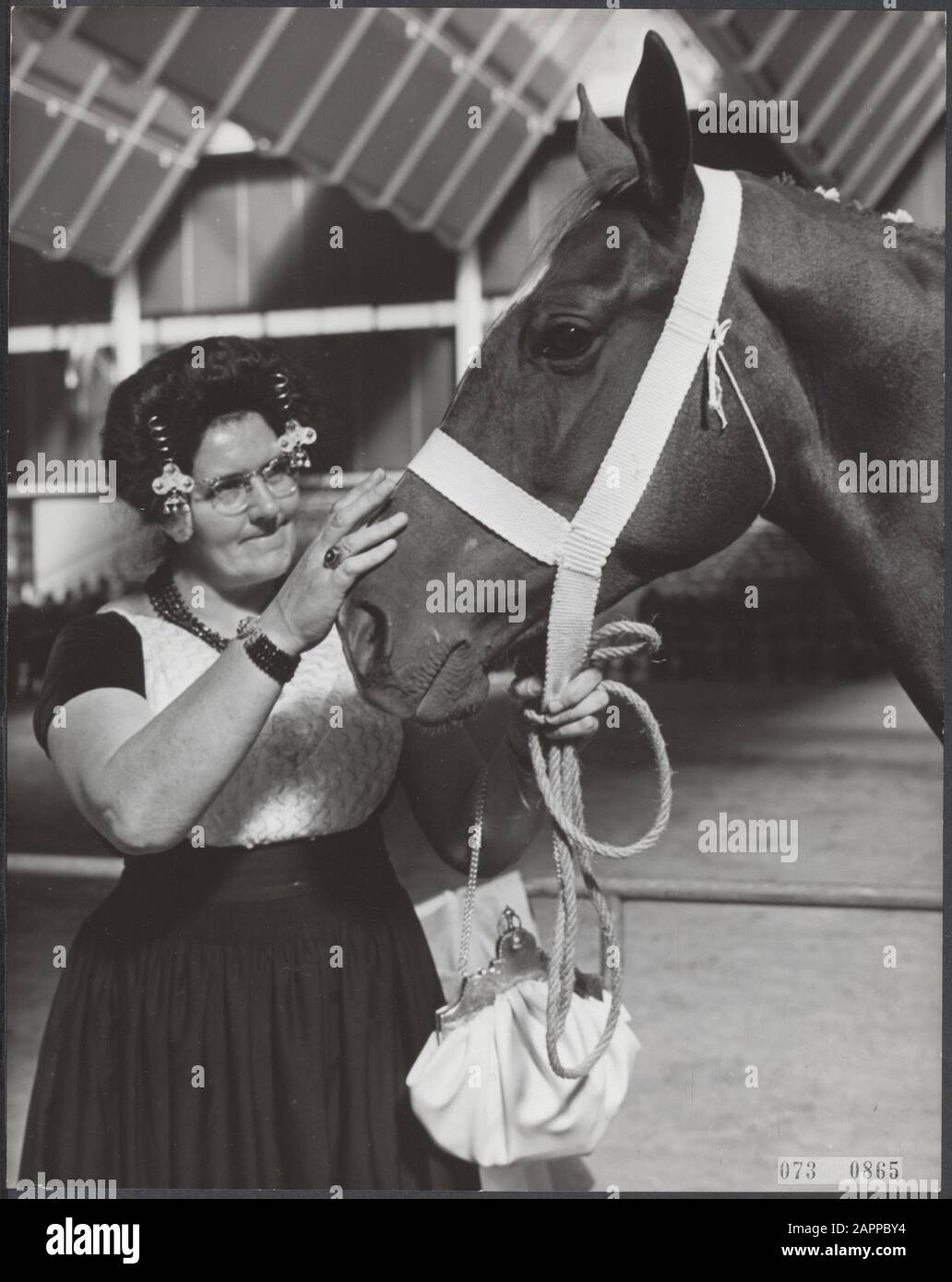 Cavalli, eventi, Utrecht Data: 24 settembre 1964 Località: Utrecht Parole Chiave: Eventi, cavalli Nome dell'istituto: Irenehal, Jaarbeurs Foto Stock