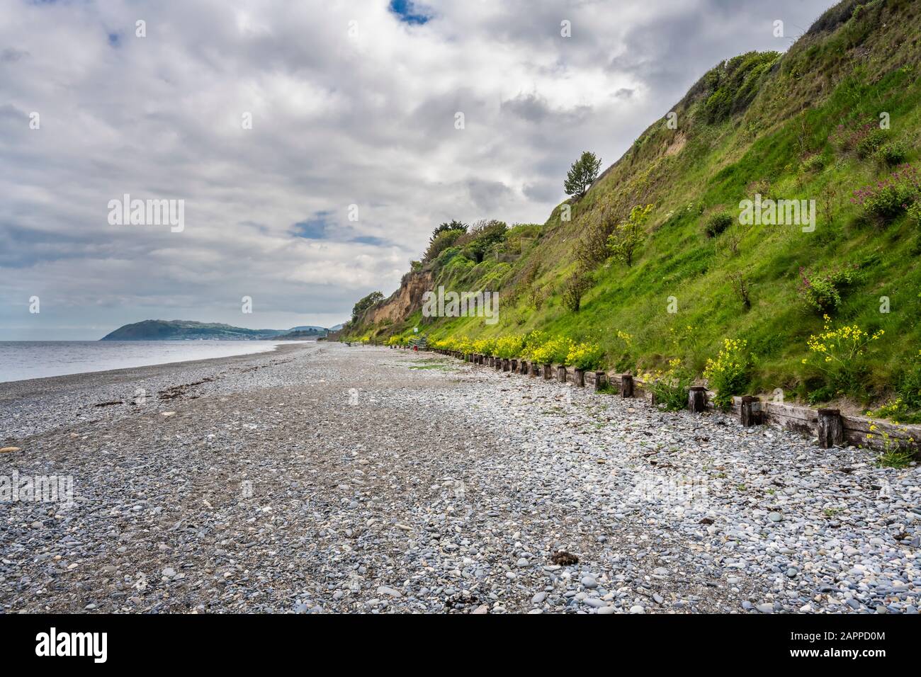 La spiaggia di ciottoli e vegetò scogliere sul mare formato da deriva glaciale a Killiney, County Dublin, Irlanda, guardando verso la testa di Bray County Wicklow Foto Stock