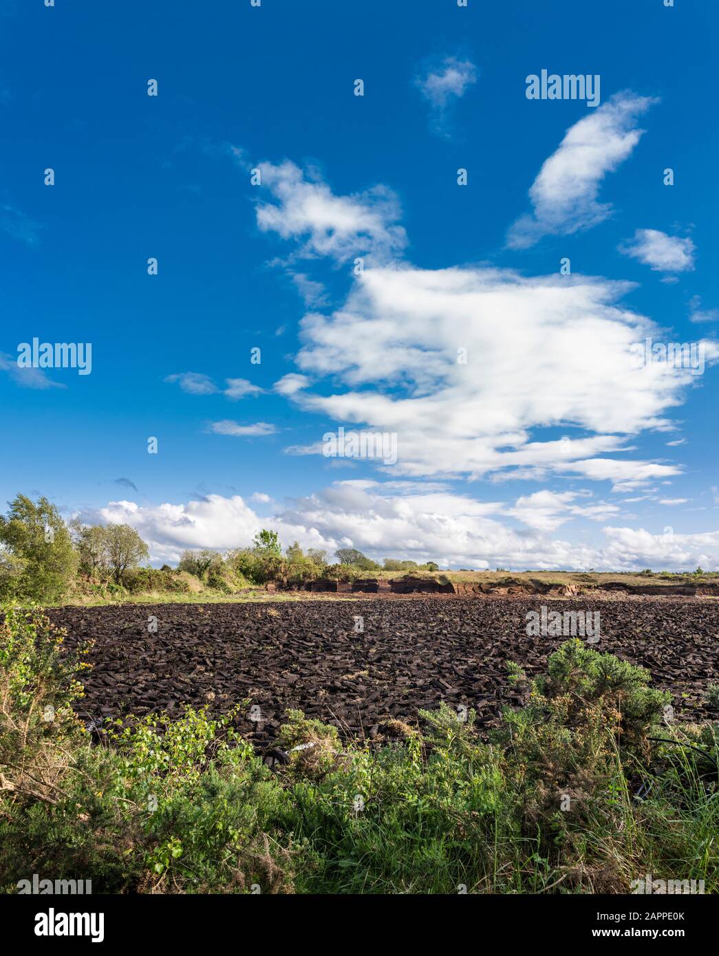Un grande campo con zolle di torba tagliata (torba) giacente sul terreno per asciugare prima di essere rimosso ed usato per combustibile vicino Birr, County Offaly, Irlanda Foto Stock