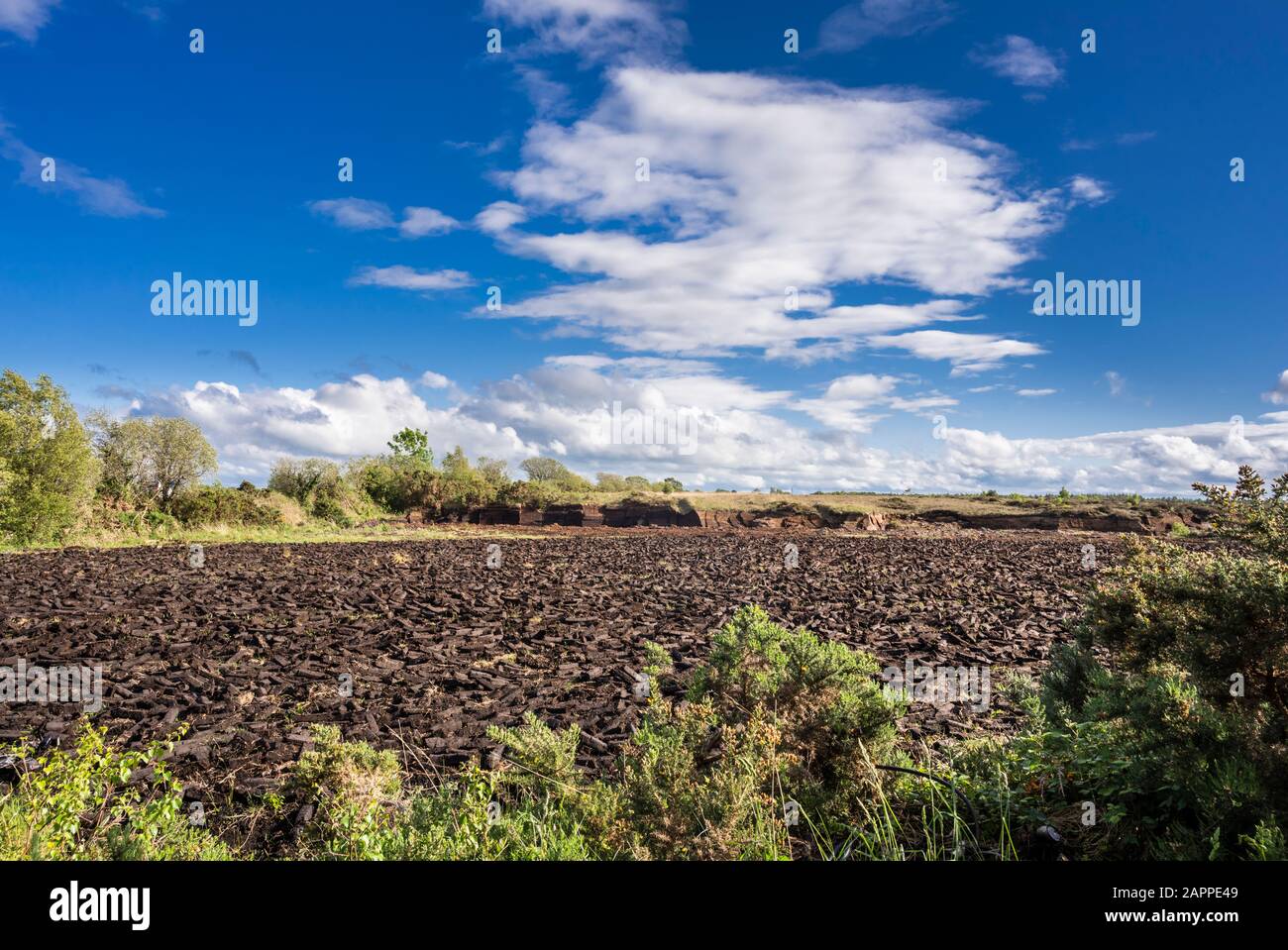 Un grande campo con zolle di torba tagliata (torba) giacente sul terreno per asciugare prima di essere rimosso ed usato per combustibile vicino Birr, County Offaly, Irlanda Foto Stock