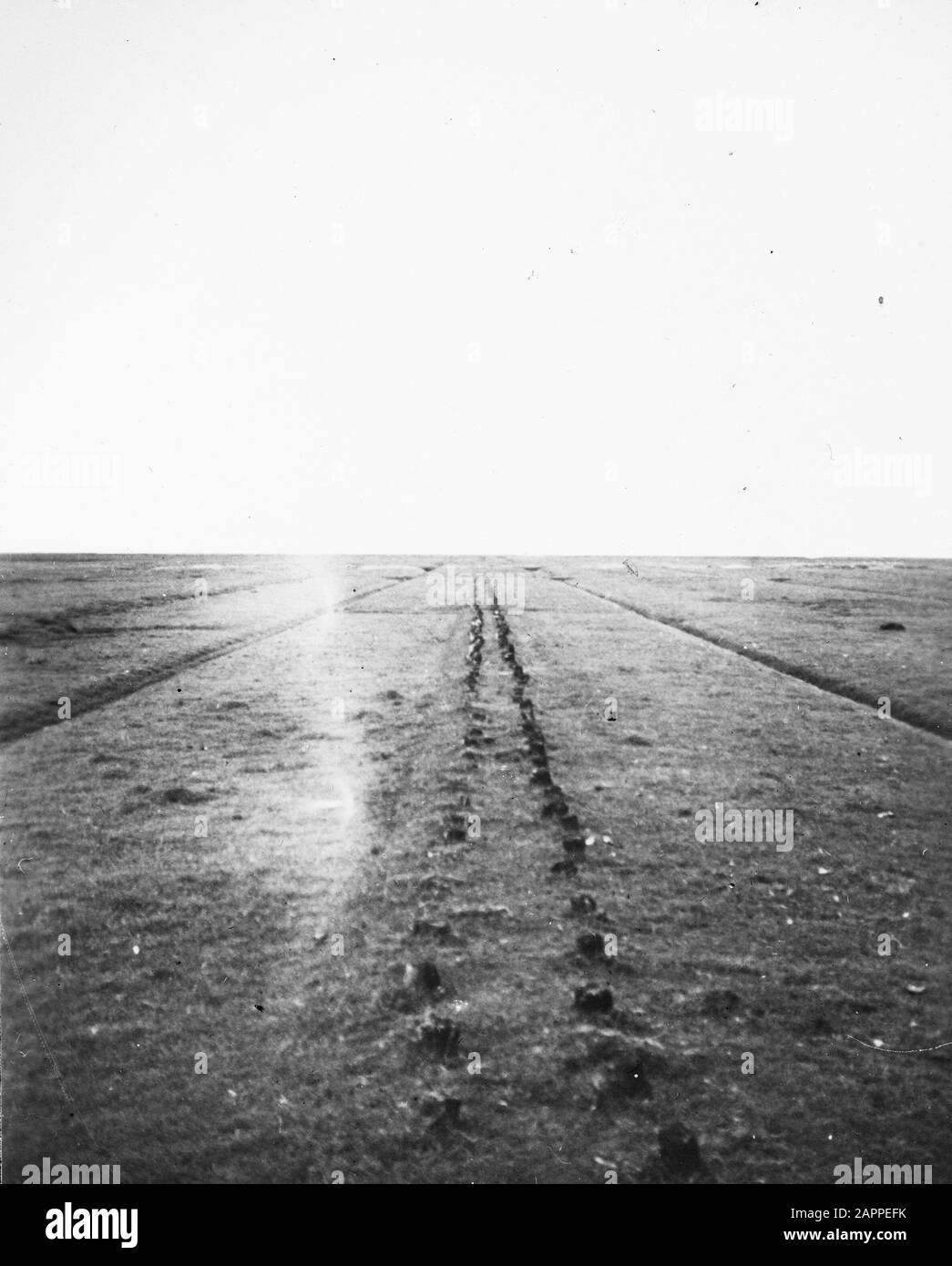 Completamente silted bosdam Data: Parole Chiave non date: Dama Foto Stock