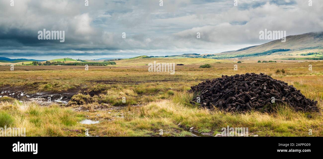 Una pila di zolle essiccate di torba o di torba in agosto, in attesa che la raccolta per l'uso come combustibile sia stata tagliata ed essiccata su una torba in County Mayo, Irlanda Foto Stock