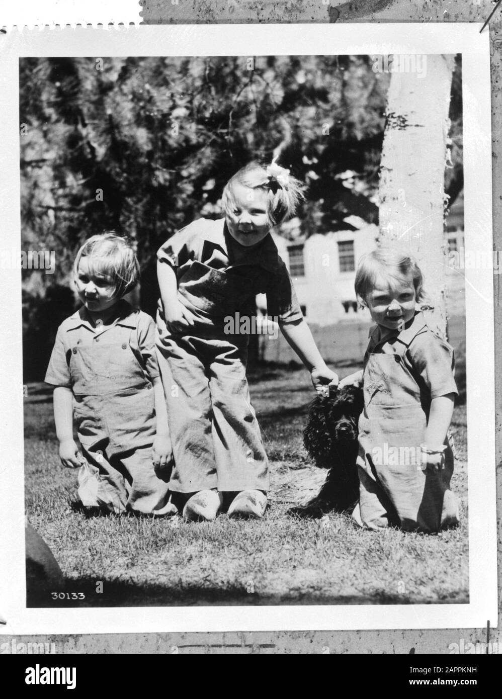 Principessa Beatrix (al centro) e principessa Irene (a destra) con il cocker spaniel Jan-Jaap in Canada. Sinistra René Röell, la cui madre è compagna signora della principessa Juliana Data: 1943 luogo: Canada, Ottawa Parole Chiave: Cani, bambini, casa reale, principesse, Seconda guerra mondiale Nome personale: Beatrix, Principessa, Irene, Principessa, Roëll, Renée Foto Stock