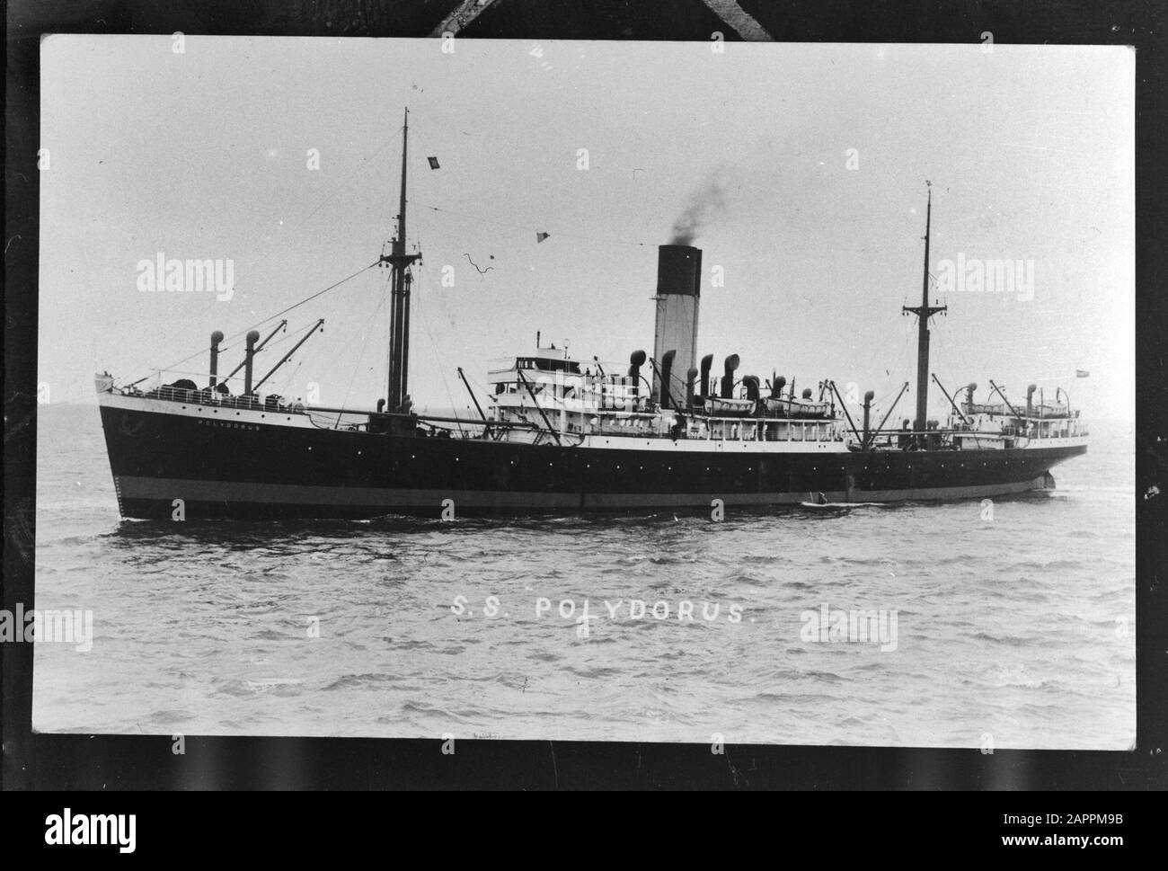 Mn [Merchant Navy]/Anefo London Series flotta mercantile olandese. S.s. Polydorus Annotation: Repronegative. Costruito nel 1925 (Greenock) per la Nederlandsche Steam mie 'Ocean'. Capitano H. Brouwer. Il 27 novembre 1942, siluro e affondato nell'Oceano Atlantico vicino Freetown (Liberia) da un U-boat tedesco [U-176]. Vedi: www.uboat.net/allies/merchants/ships/2470.html Data: Undata luogo: Gran Bretagna Parole Chiave: Flotte mercantili, marina, navi, seconda guerra mondiale Foto Stock