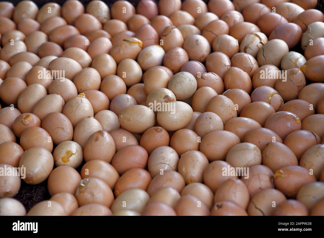 Uova farcite con Erbe, Cambogia, Indochina, Sud-Est asiatico, Asia Foto Stock