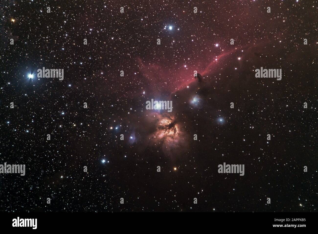 Horsehead e fiamma nebulosa nella costellazione di Orione Foto Stock