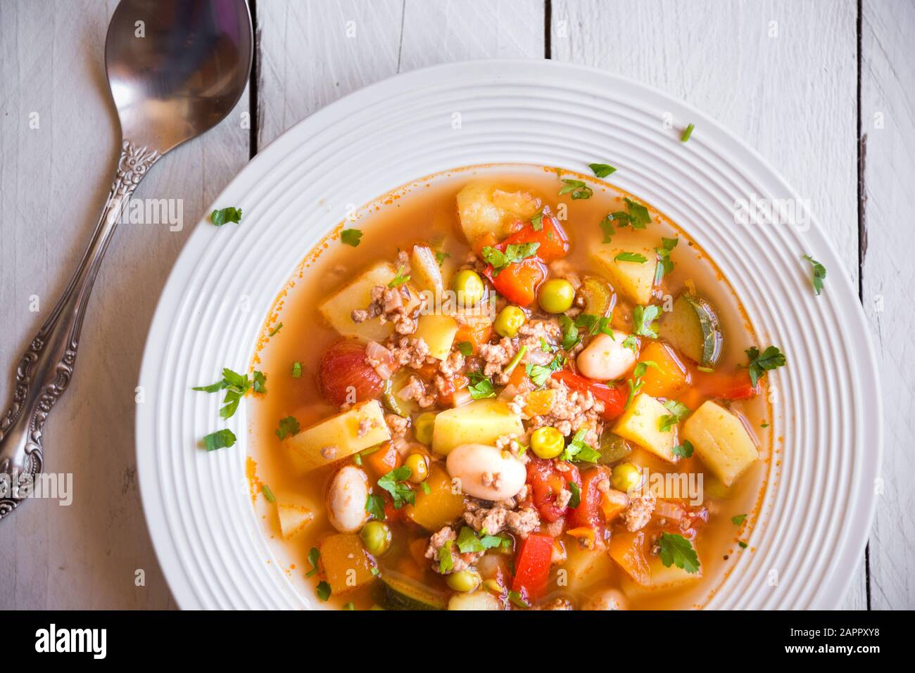 zuppa di hamburger con carne e verdure Foto Stock