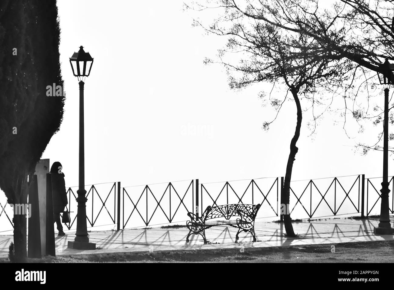 Silhouette di una donna che cammina nel parco in bianco e nero Foto Stock