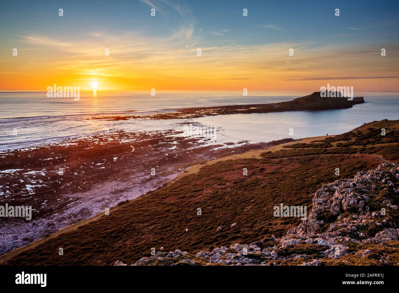 Testa di verme Rhossili Bay al tramonto sulla penisola di Gower un AONB West Glamorgan South Wales UK GB Europe Foto Stock