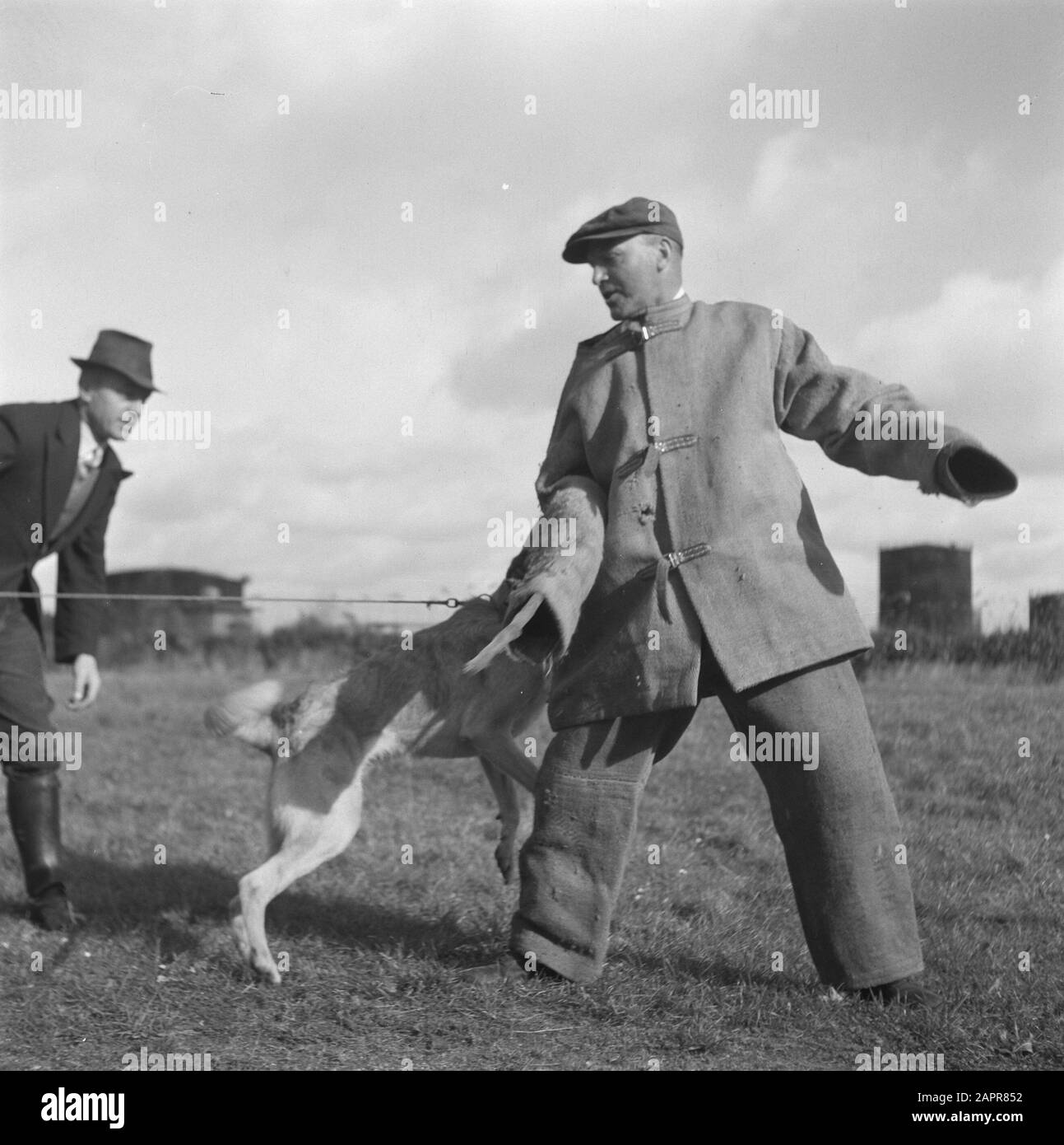 Series About training polizia dogs Data: 1945 Parole Chiave: Seconda guerra mondiale, Bestiame Foto Stock