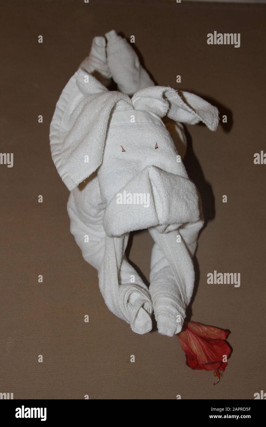 Asciugamano piegato come cane a Veranda Palmar Beach Hotel & Spa, Coastal Road Belle Mare, Mauritius. Foto Stock