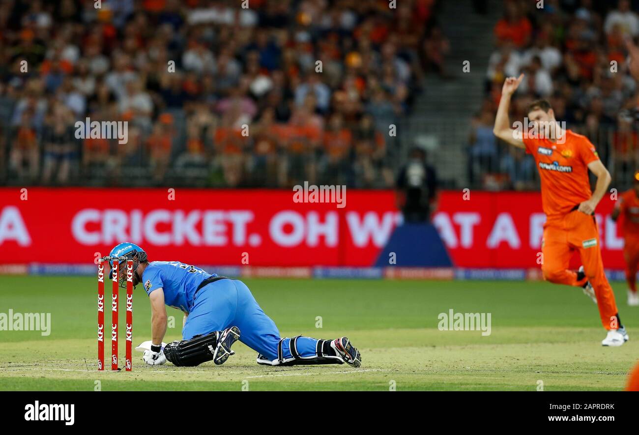 Perth, Australia. 24th gennaio 2020; Optus Stadium, Perth, Australia Occidentale; Big Bash League Cricket, Perth Scorchers vs Adelaide Stikers; Travis Head of the Adelaide Strikers cade in campo dopo aver dato un'immagine più bella al custode Credit: Action Plus Sports Images/Alamy Live News Foto Stock