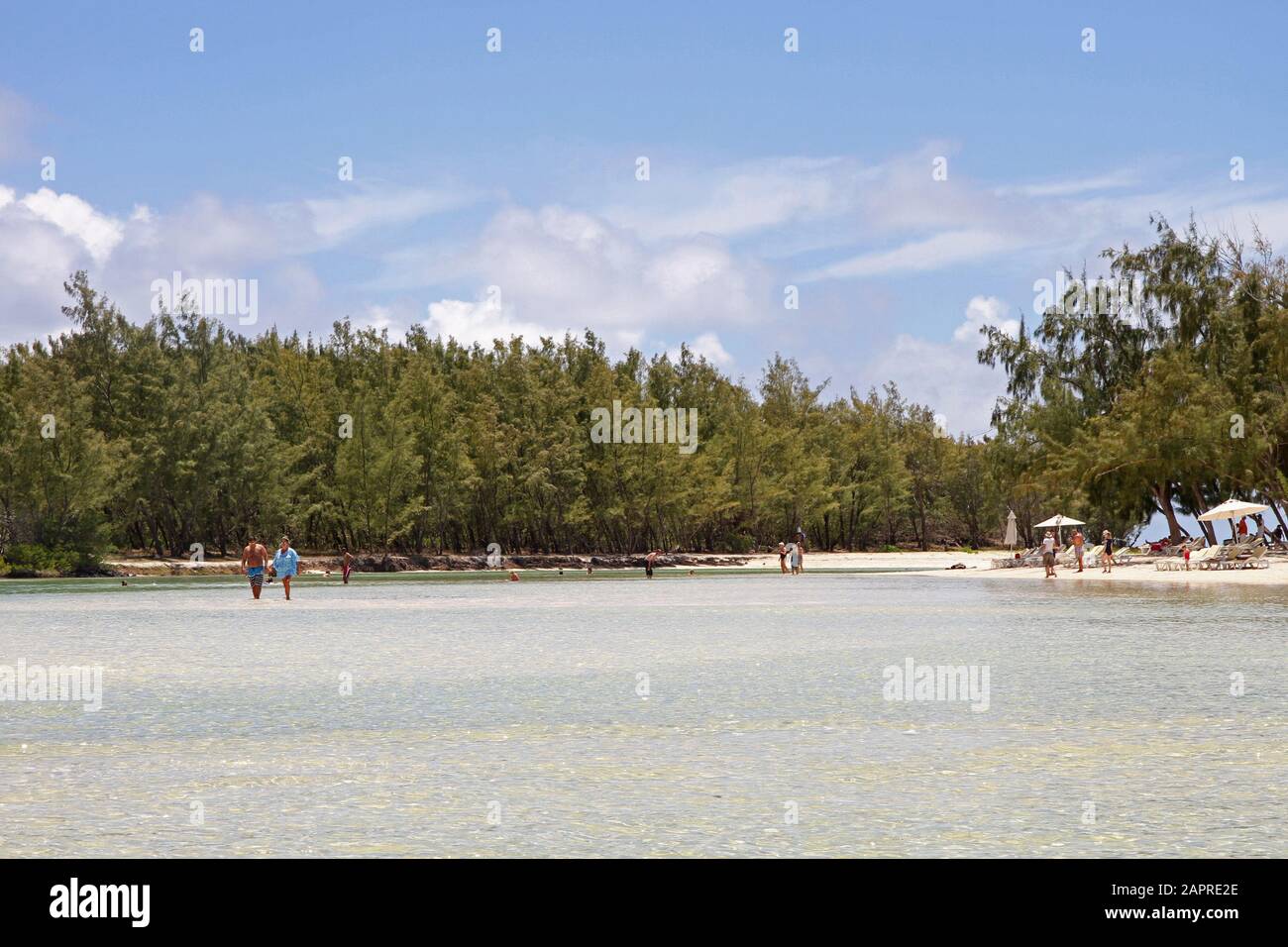 La gente e la pineta sulla spiaggia lungo la costa di Mauritius. Foto Stock