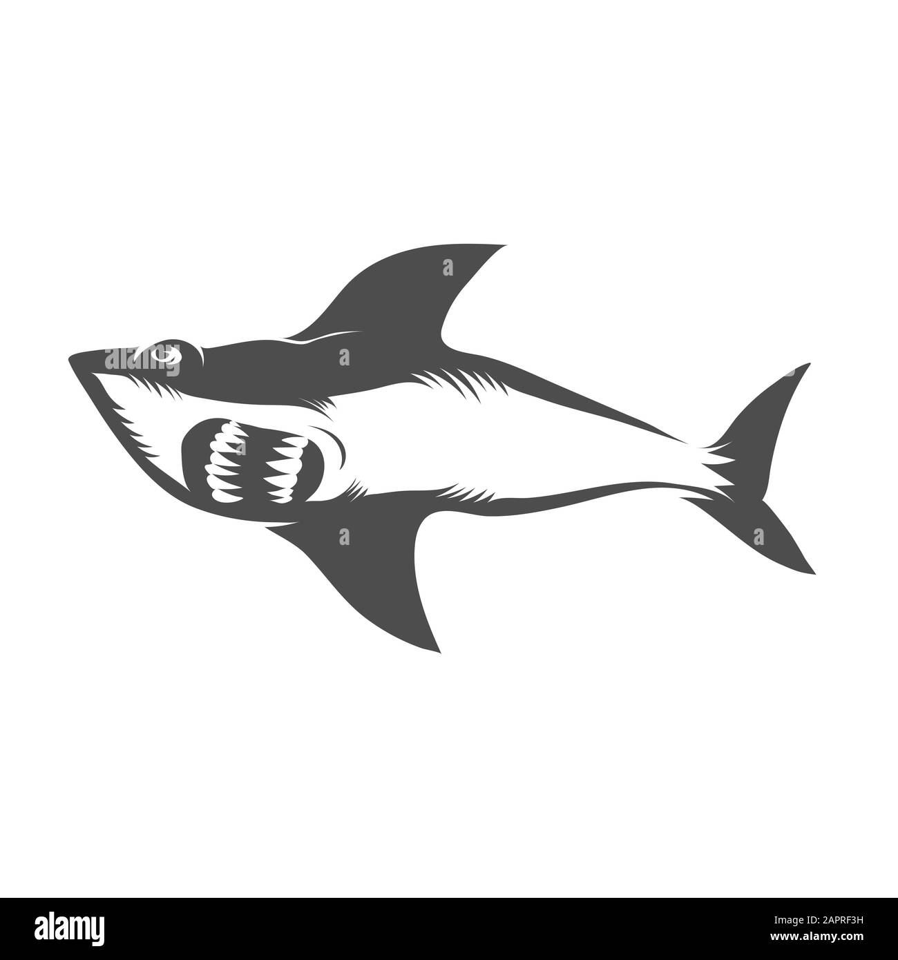 Squalo Isolato Su Sfondo Bianco. Pesce Senza Cuciture Modello Foto Stock