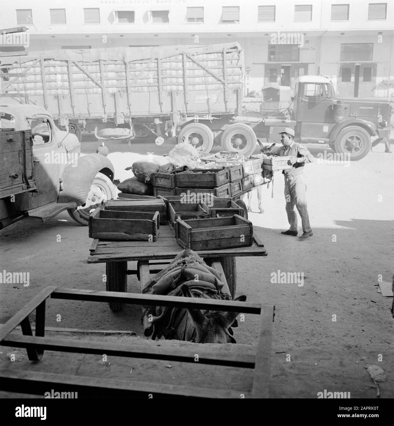 Israele 1964-1965: Tel Aviv, Food Auction trasporto merci varie intorno all'edificio dell'asta Data: 1964 luogo: Israele, Tel Aviv Parole Chiave: Operai, asini, scatole di frutta, edifici, trasporto merci, borse di iuta, carri, cavallo e carrello, aste, cibo Foto Stock