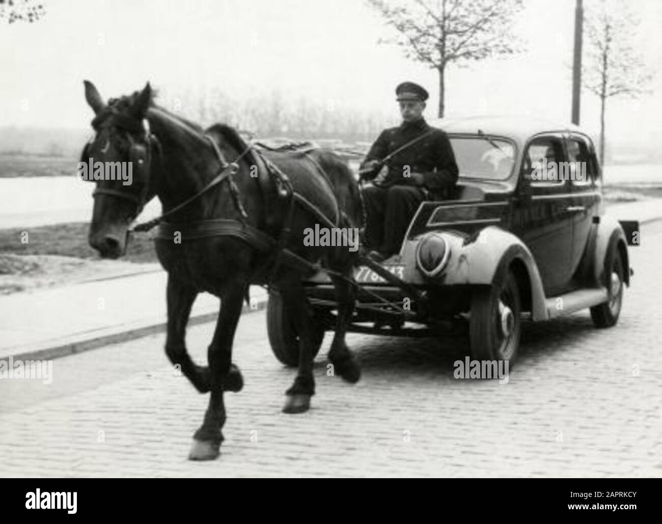 Spaarnestad Photo/Sfa003008007 Olanda: Tweede Wereldoorlog. Tijdens de Duitse bezetting nei Paesi Bassi è un posto della macchina zonder brandstof/benzine e tekorten. Nella foto vedrete un Ford V8 getrokken da un paard. Op de plaats waar de motoria zat, zit nu de taxibestuurder. Nederland, Den Haag, 14 Maggio 1941.-109.214.47.21 16:24, 9 Ottobre 2013 (Utc) Seconda Guerra Mondiale. Durante l'occupazione inglese dei Paesi Bassi la gente ha usato un'automobile senza benzina/combustibile a causa della scarsità. In questa foto una Ford V* è disegnata da un cavallo. Il punto che solitamente tiene il motore è ora in uso Foto Stock