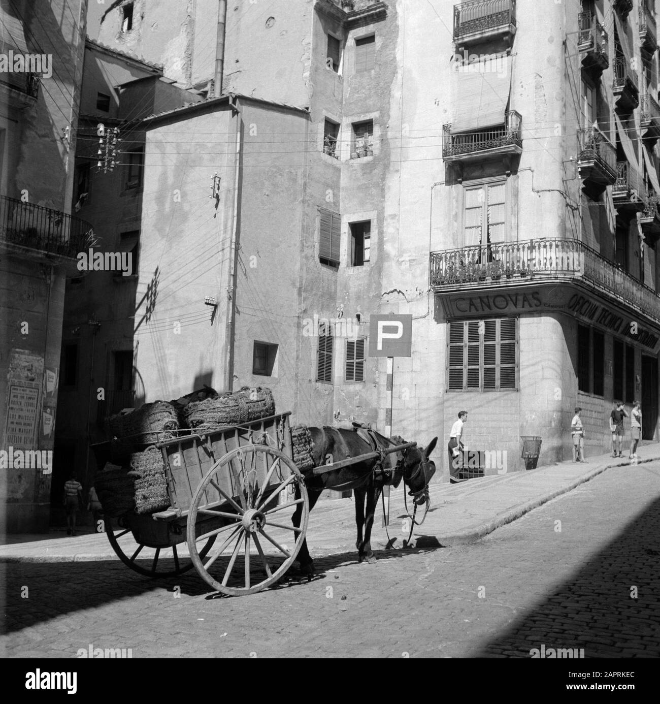 Animali e veicoli trainati in Spagna Mule trait cart a Barcellona Data: Undate Location: Barcelona, Spain Parole Chiave: Asini, edifici, carrelli, sculture di strada Foto Stock