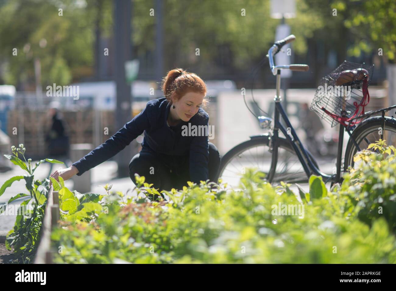 giovane donna che lavora in un giardino urbano in una città Foto Stock