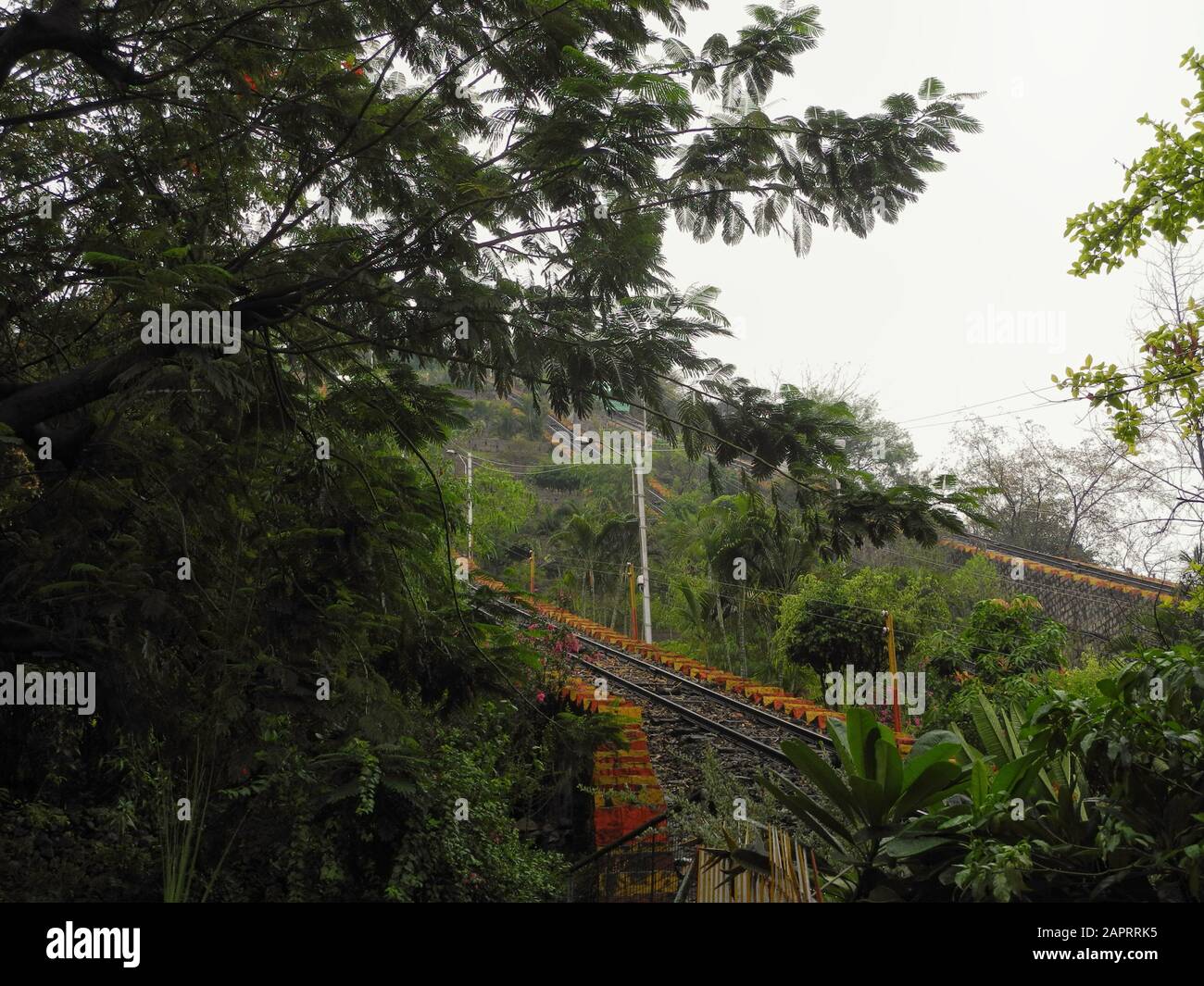 Vagoni ferroviari salgono la collina fino al tempio di Murugan, India, Tamil nadu Foto Stock