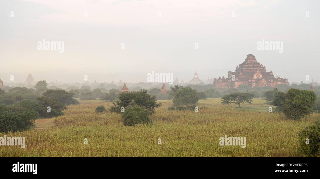 Vista panoramica del Tempio Dhammayangyi (vecchio Bagan), durante l'alba Foto Stock