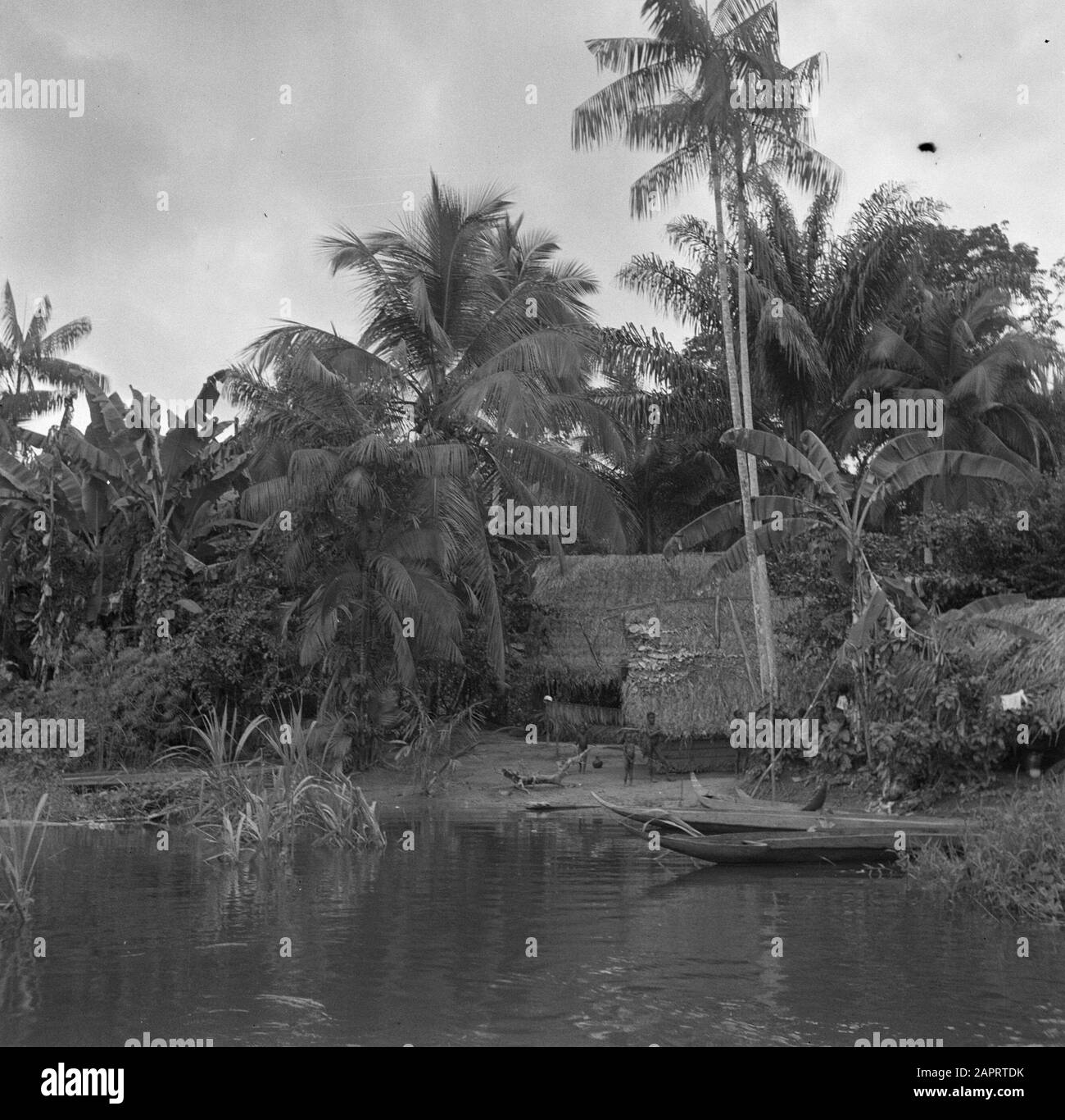Viaggio a Suriname e Antille Olandesi un villaggio di fattoria forestale nel Marowijnegebied Data: 1947 Ubicazione: Marowijne, Suriname Parole Chiave: Fiumi, case Foto Stock