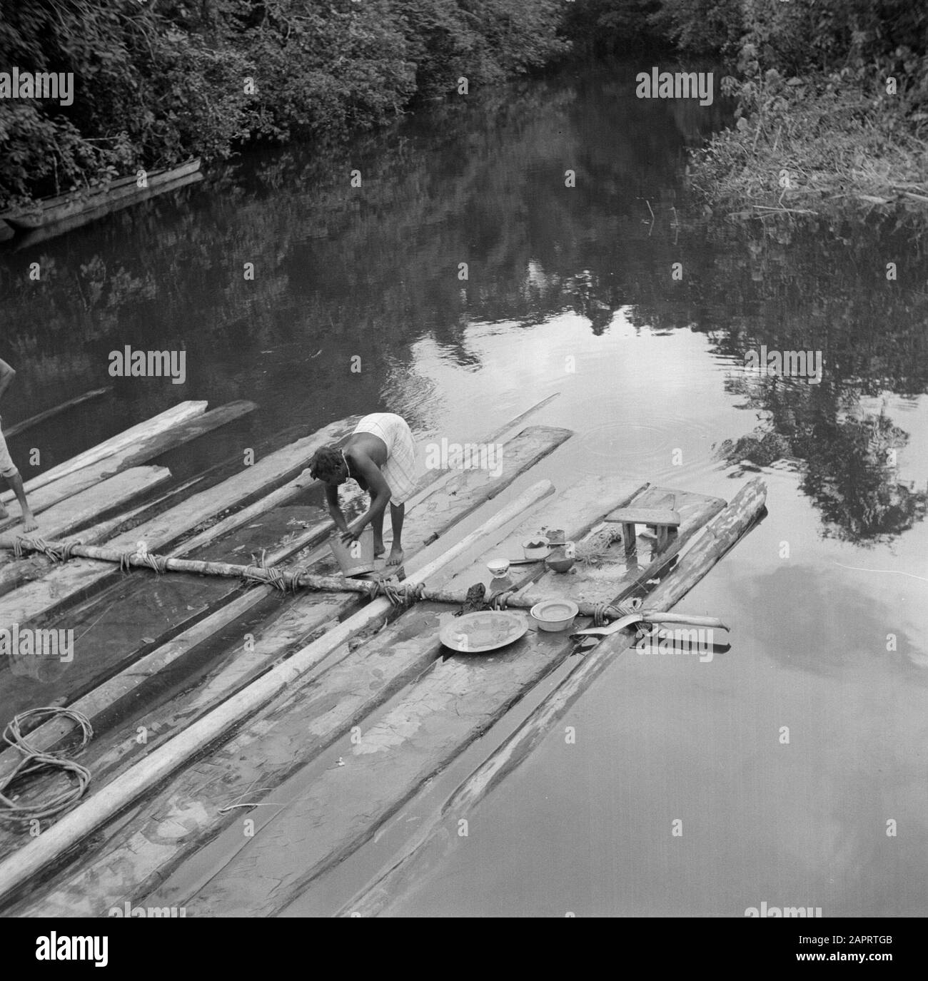 Viaggio in Suriname e Antille Olandesi UNA creola fattoria forestale donna fa la sua 'famiglia' su una zattera di tronchi di albero nel Marowijnerivier Data: 1947 posizione: Langatabbetje, Marowijne, Suriname Parole Chiave: Sandcreole foresta, zattere, donne Foto Stock