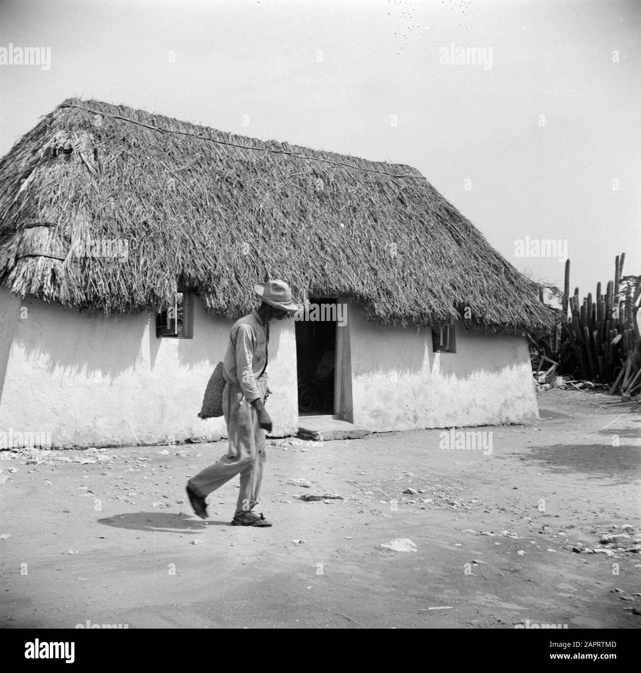 Antille Olandesi e Suriname al momento della visita reale della Regina Juliana e del Principe Bernhard nel 1955 una casa cunucu, probabilmente il Curaçao Data: 1 ottobre 1955 Ubicazione: Curaçao, Antille Olandesi Parole Chiave: Popolazione indigena, case Foto Stock
