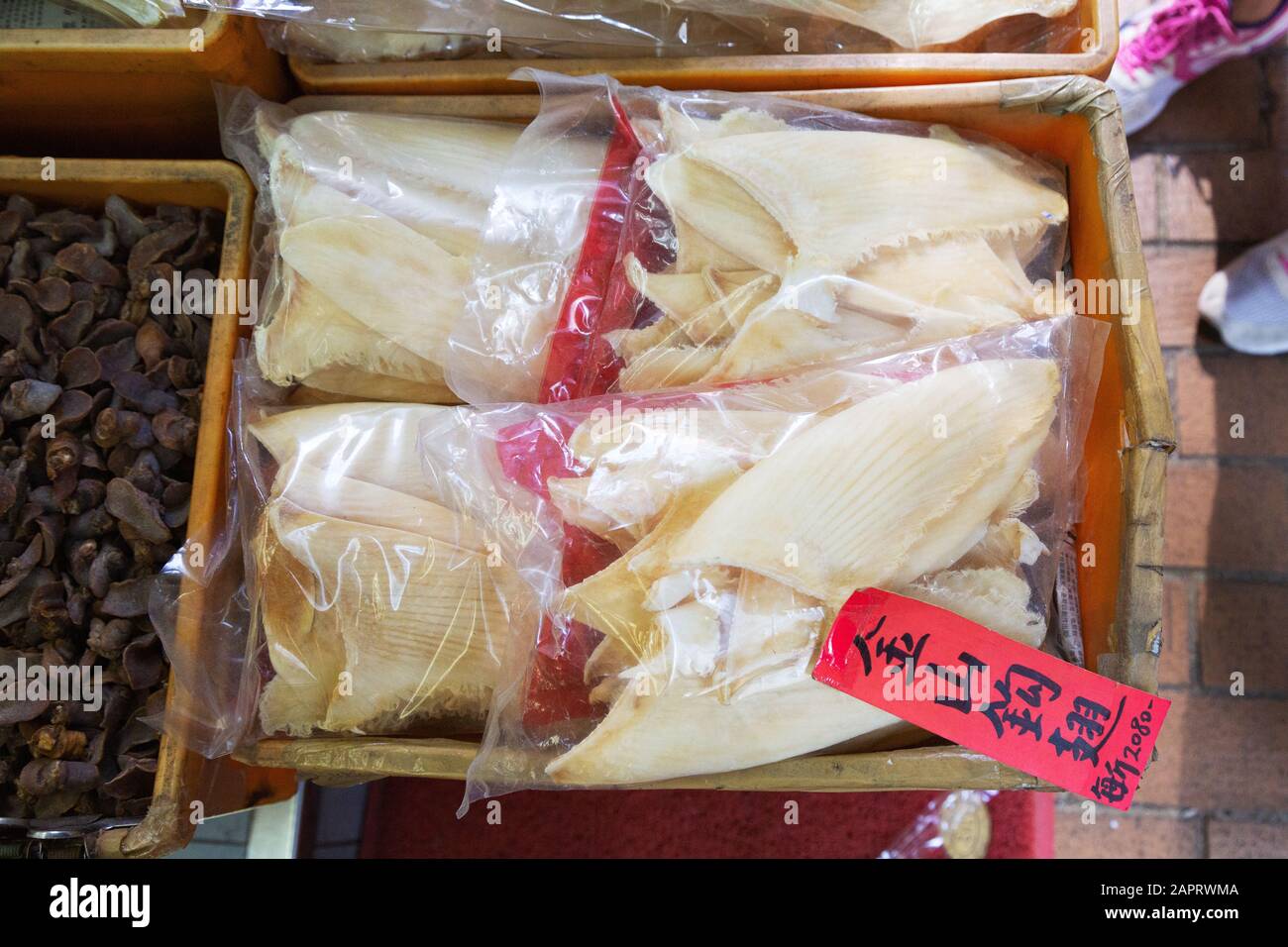 Cultura asiatica - cibo di Hong Kong - una borsa di pinne di squalo in vendita per fare zuppa di pinne di squalo, in un negozio di pesce, Hong Kong Island Hong Kong Asia Foto Stock
