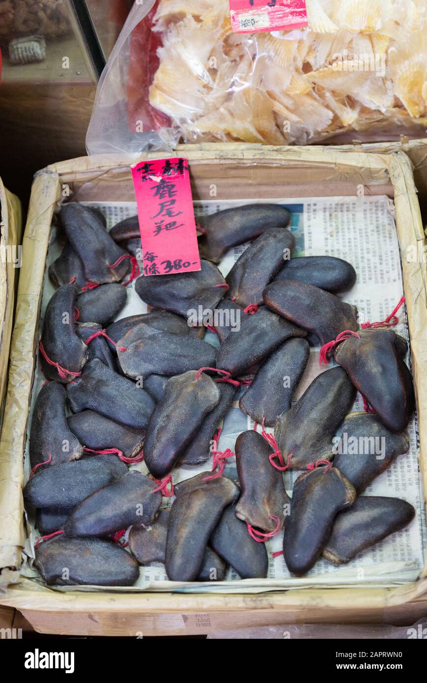 Asia culture - Hong Kong food - uova di squali in vendita in un negozio di pesce, Hong Kong Asia Foto Stock