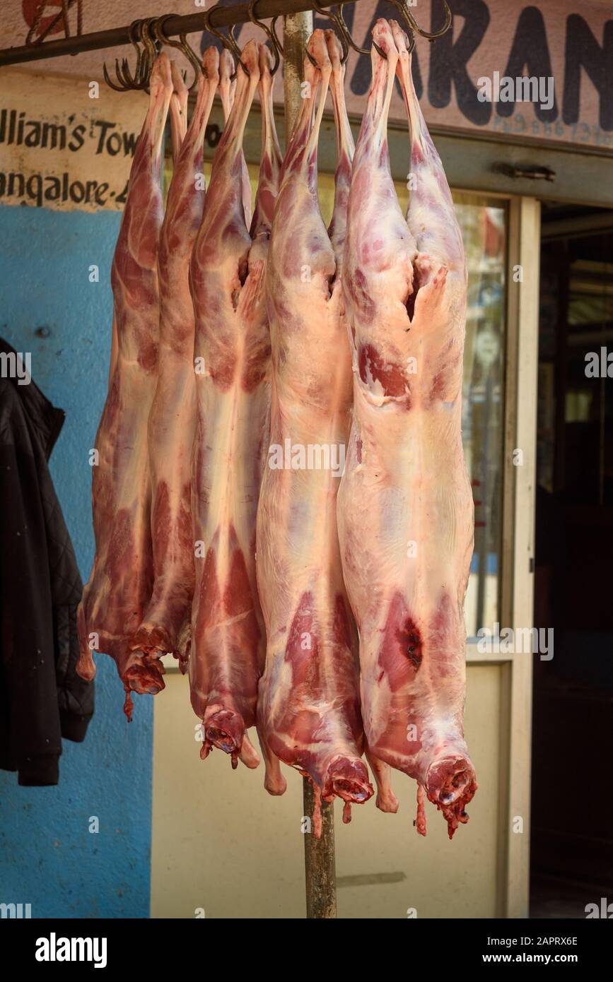 Carne di agnello cruda per la vendita in negozio a Bangalore. India Foto Stock