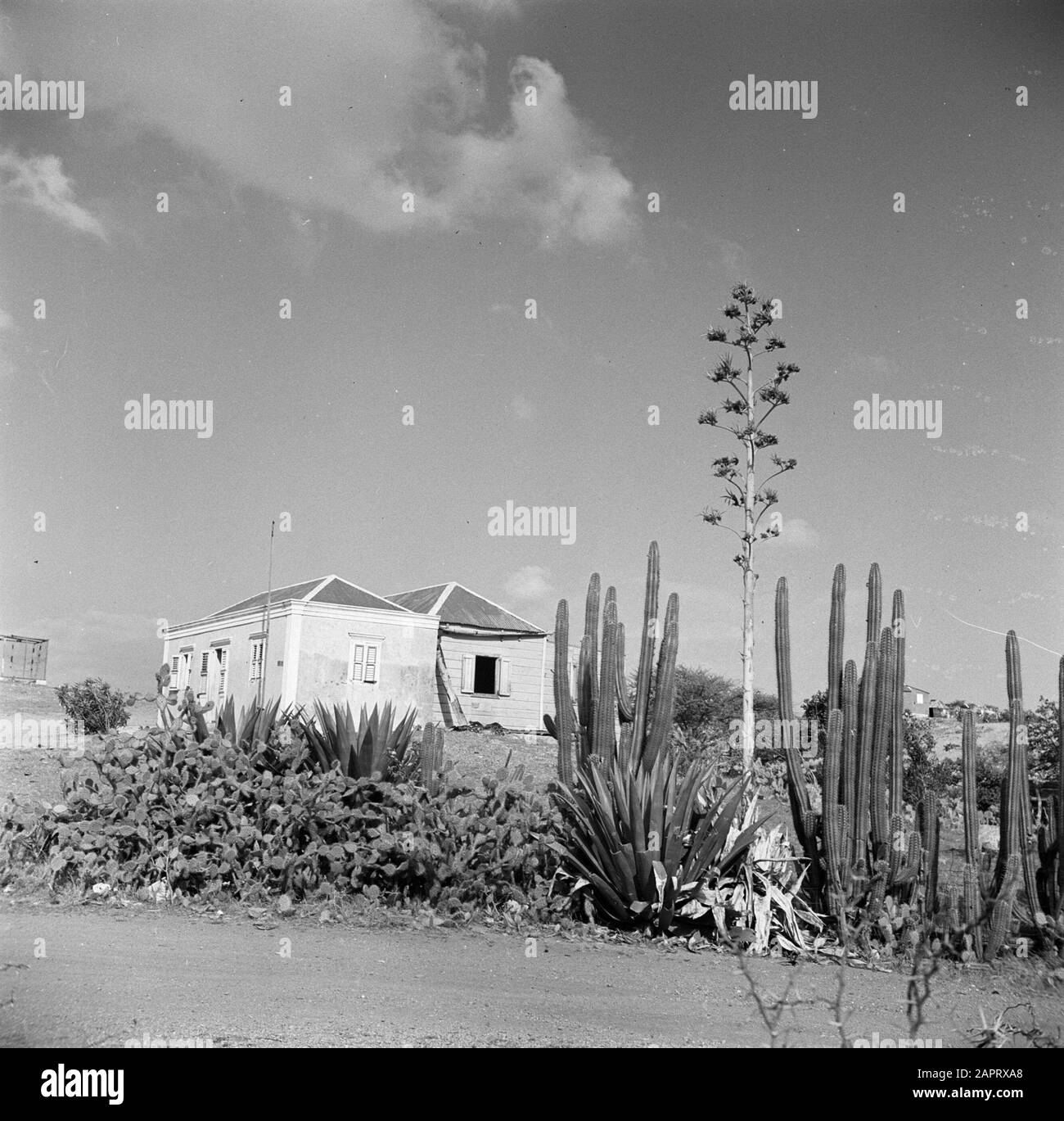 Viaggio a Suriname e Antille Olandesi una piccola casa di campagna il Curaçao Data: 1947 luogo: Curaçao Parole Chiave: Case di campagna Foto Stock