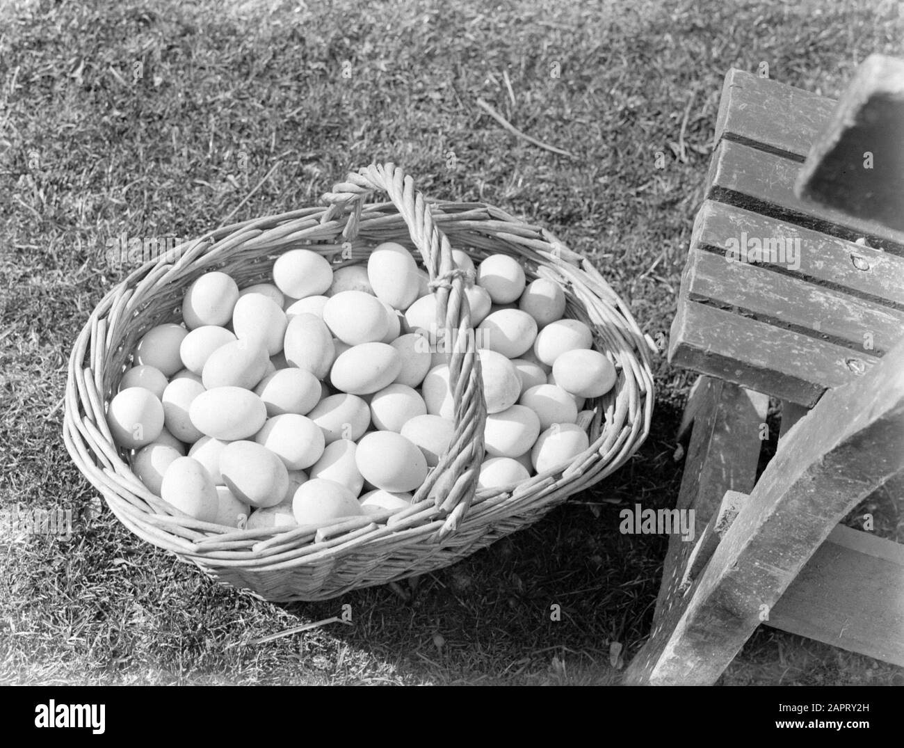 Un cesto con uova simboleggia la Pasqua Data: 1934 Parole Chiave: Uova Foto Stock