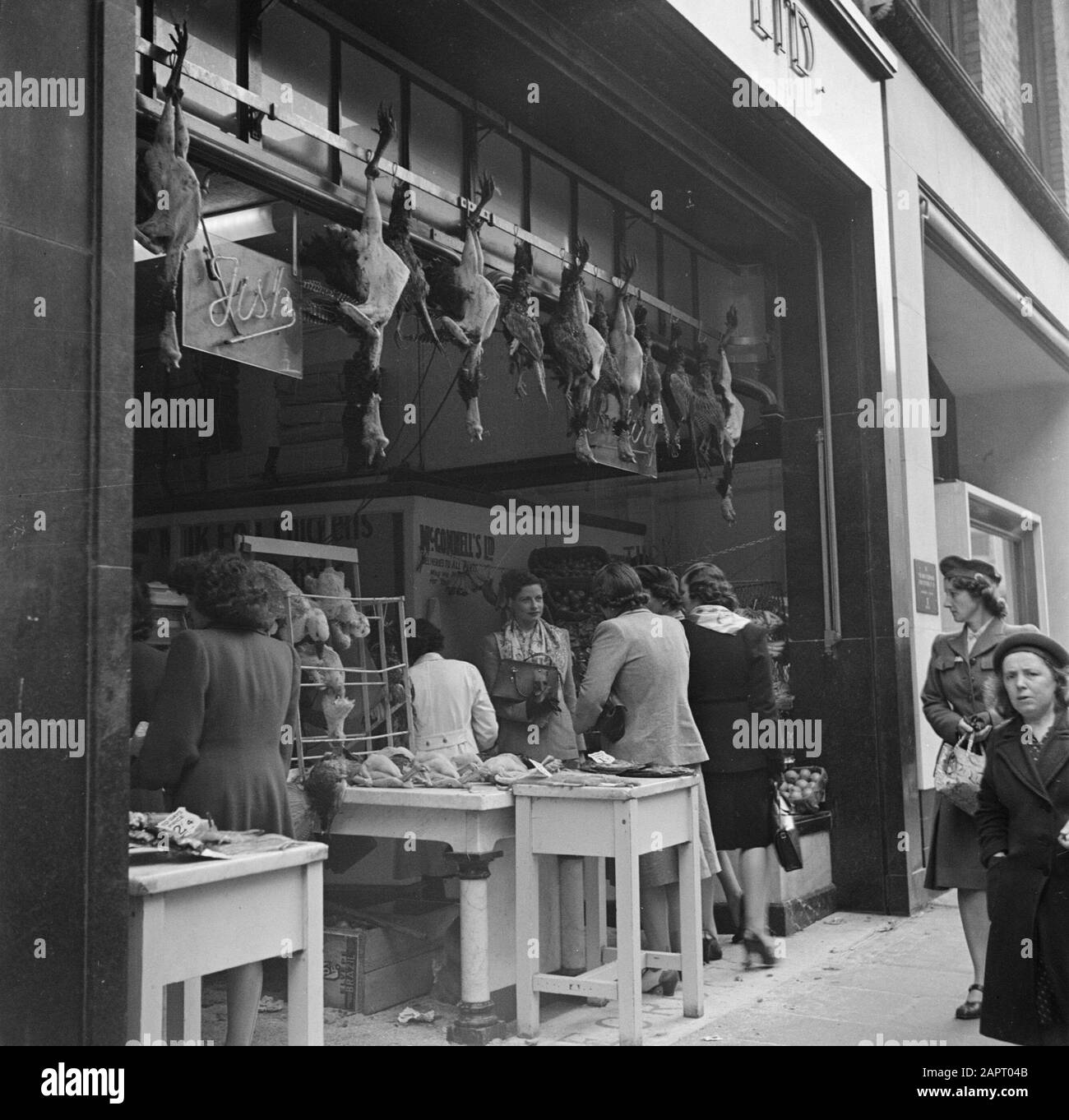 Dublino un negozio aperto con Wild Data: 1946 posizione: Dublino, Irlanda Parole Chiave: Negozi Foto Stock