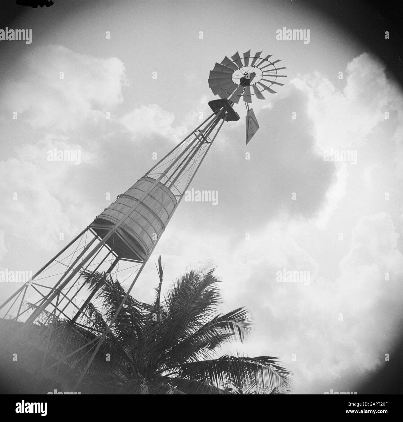 Viaggio a Suriname e Antille Olandesi un mulino ad acqua il Curaçao Data: 1947 luogo: Curaçao Parole Chiave: Mulini ad acqua Foto Stock