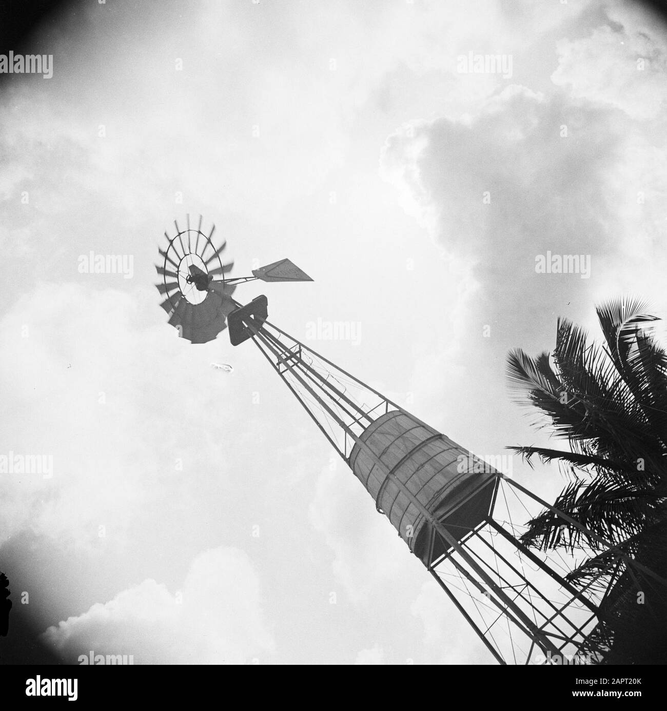 Viaggio a Suriname e Antille Olandesi un mulino ad acqua il Curaçao Data: 1947 luogo: Curaçao Parole Chiave: Mulini ad acqua Foto Stock