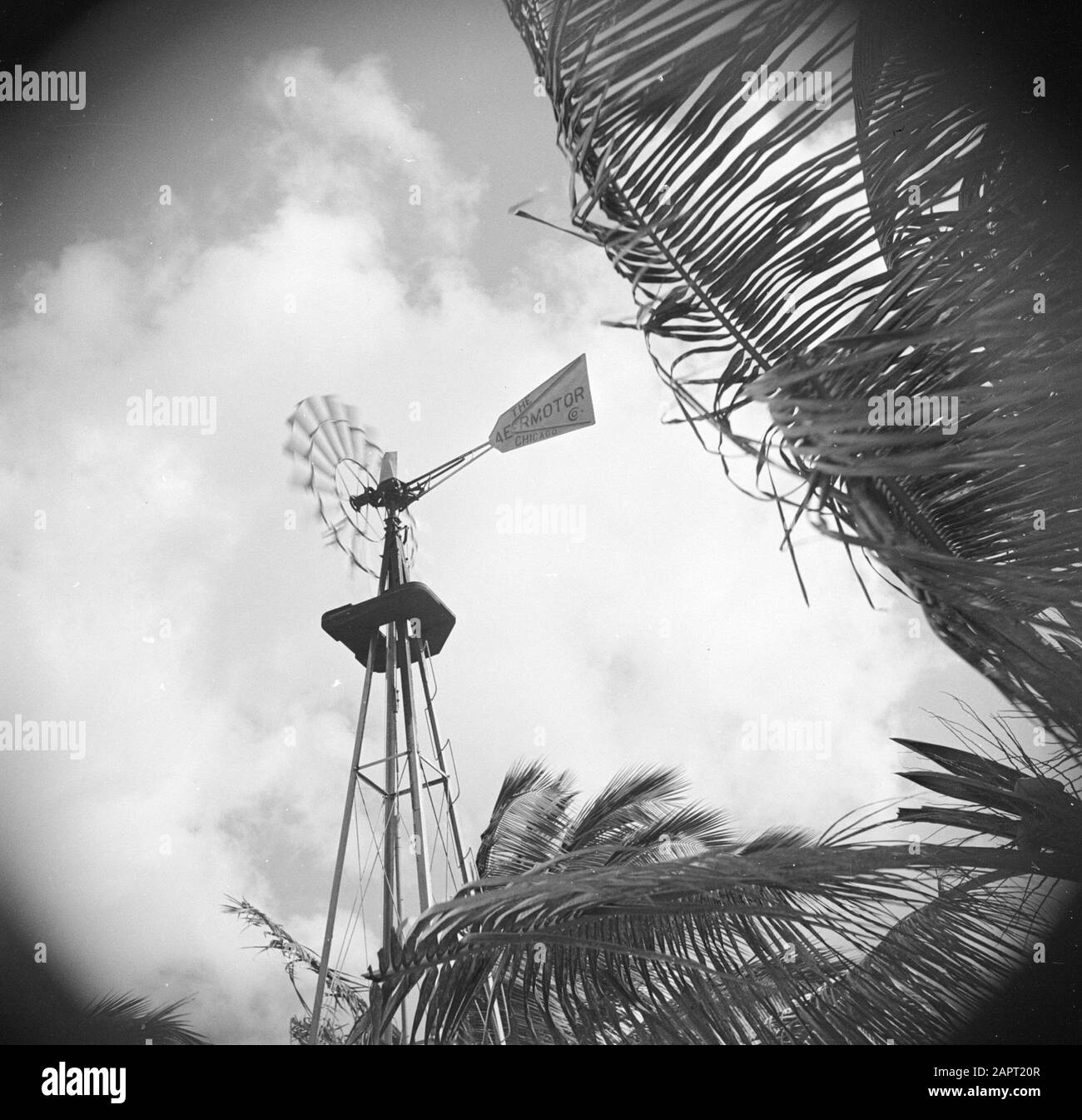 Viaggio a Suriname e Antille Olandesi un mulino ad acqua il Curaçao Data: 1947 luogo: Curaçao Parole Chiave: Mulini ad acqua Foto Stock