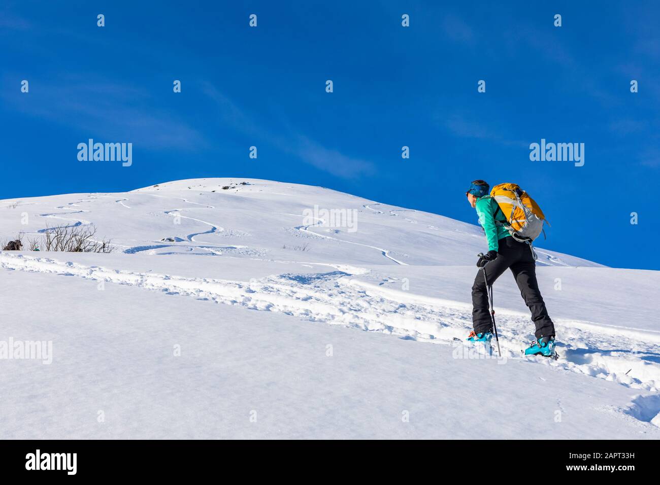 Donna backcountry sci, arrampicata su montagna in skin track, a sci e pelli in Hatcher's Pass, Alaska, Talkeetna Mountains Foto Stock