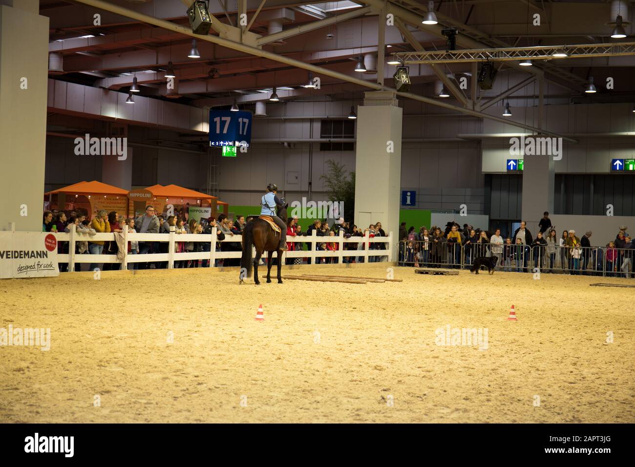 impressioni della fiera del cavallo 2019 ad hannover, bassa sassonia, germania Foto Stock