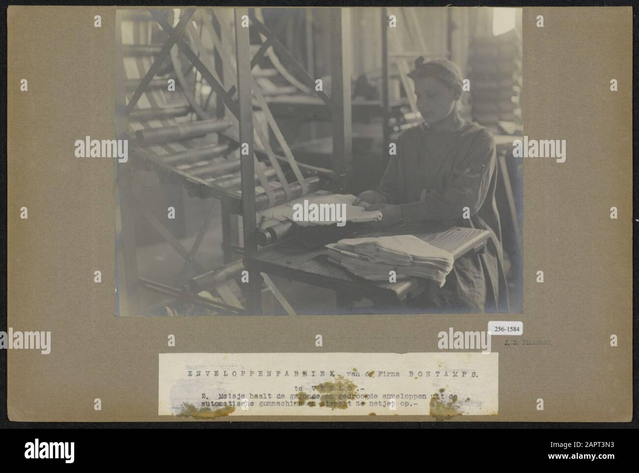 All'azienda di buste Bontamps di Venlo, una ragazza prende buste gommate ed essiccate dalla macchina automatica per gengive e fa pile di Data: Circa 1919 Foto Stock