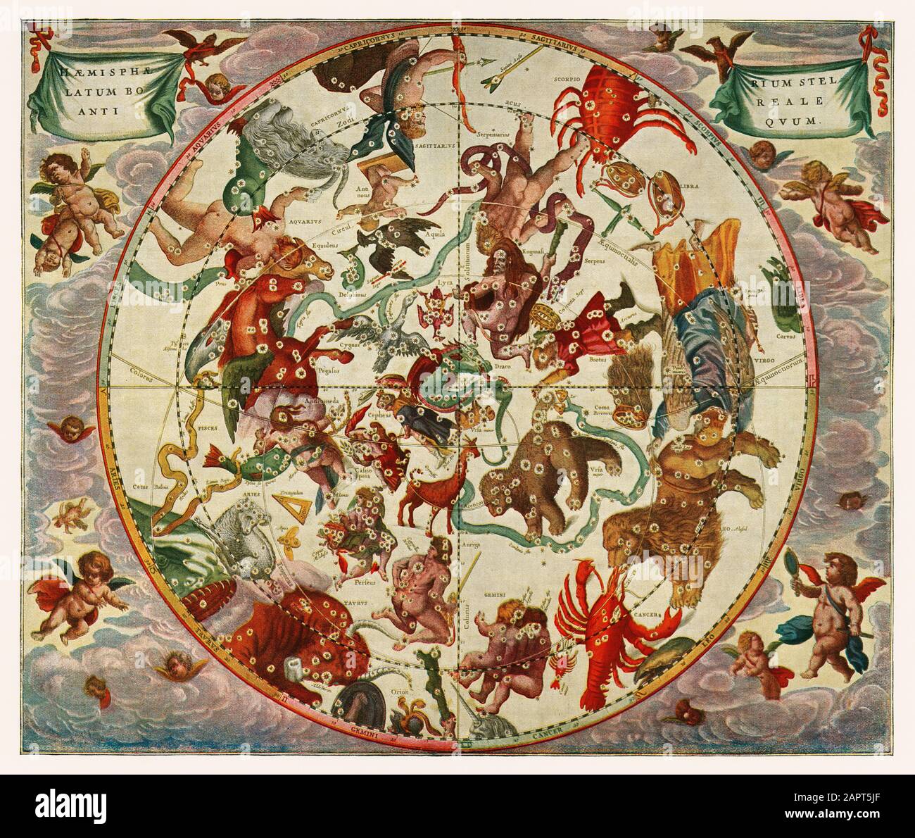 L'emisfero stellare settentrionale dell'antichità dalla Harmonia Macrocosmica di Andreas Cellarius (1660). Foto Stock