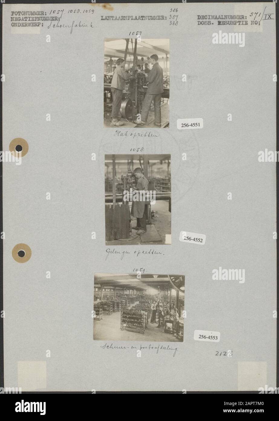Fabbrica di scarpe Foto 1: Fabbrica di scarpe; impostazione tacco (5x7 cm; sconosciuto) Foto 2: Fabbrica di scarpe; impostazione gel (5x7 cm; sconosciuto) Foto 3: Fabbrica di scarpe; reparto levigatrice e lucidatrice (5x 7 cm; sconosciuto) Data: Parole Chiave non date: Macchine per lavorazione pelle, industria di cuoio, industria di scarpe Foto Stock